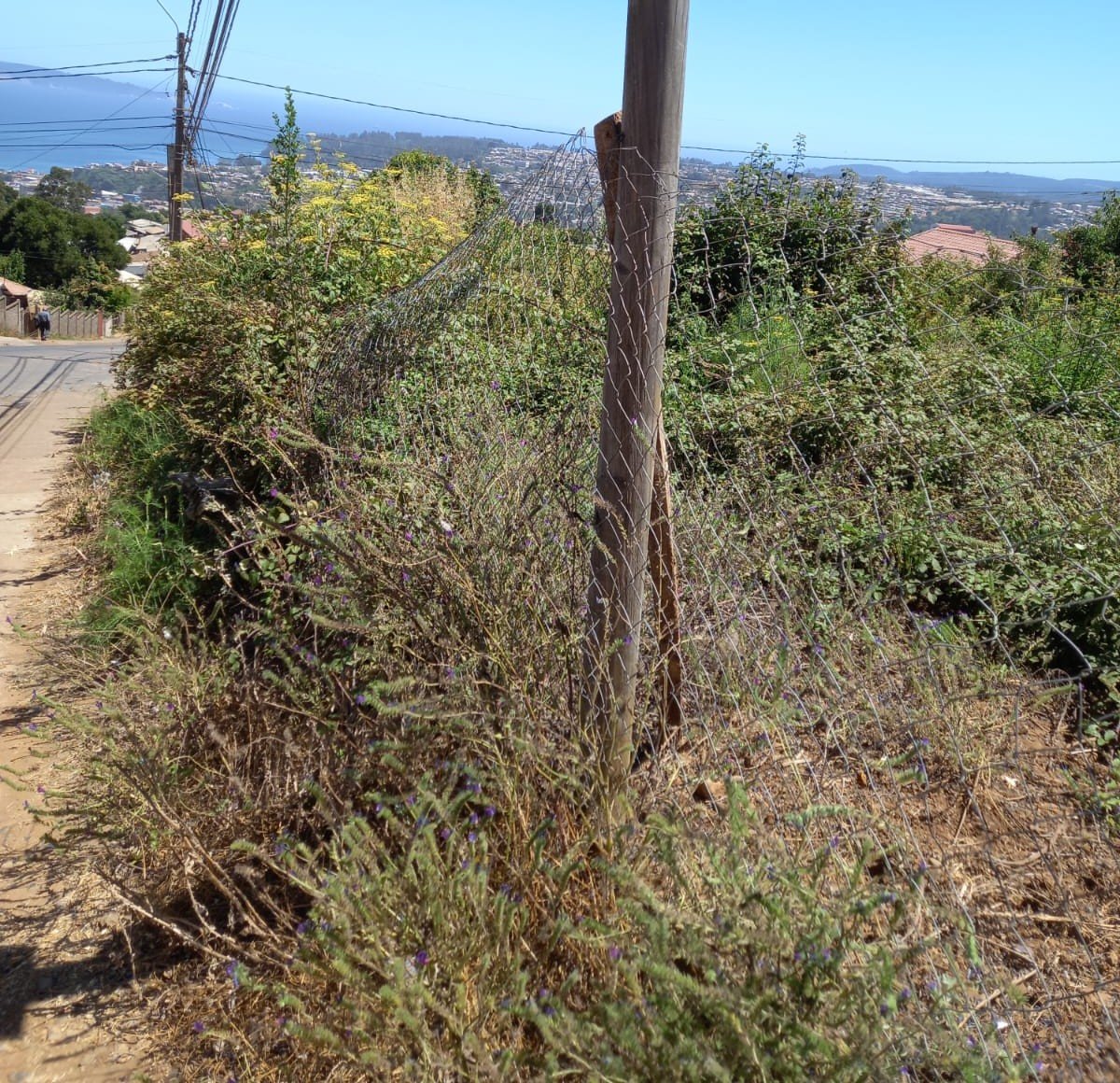 ¡Oportunidad en Tomé! Terreno Urbano en Cerro El Santo