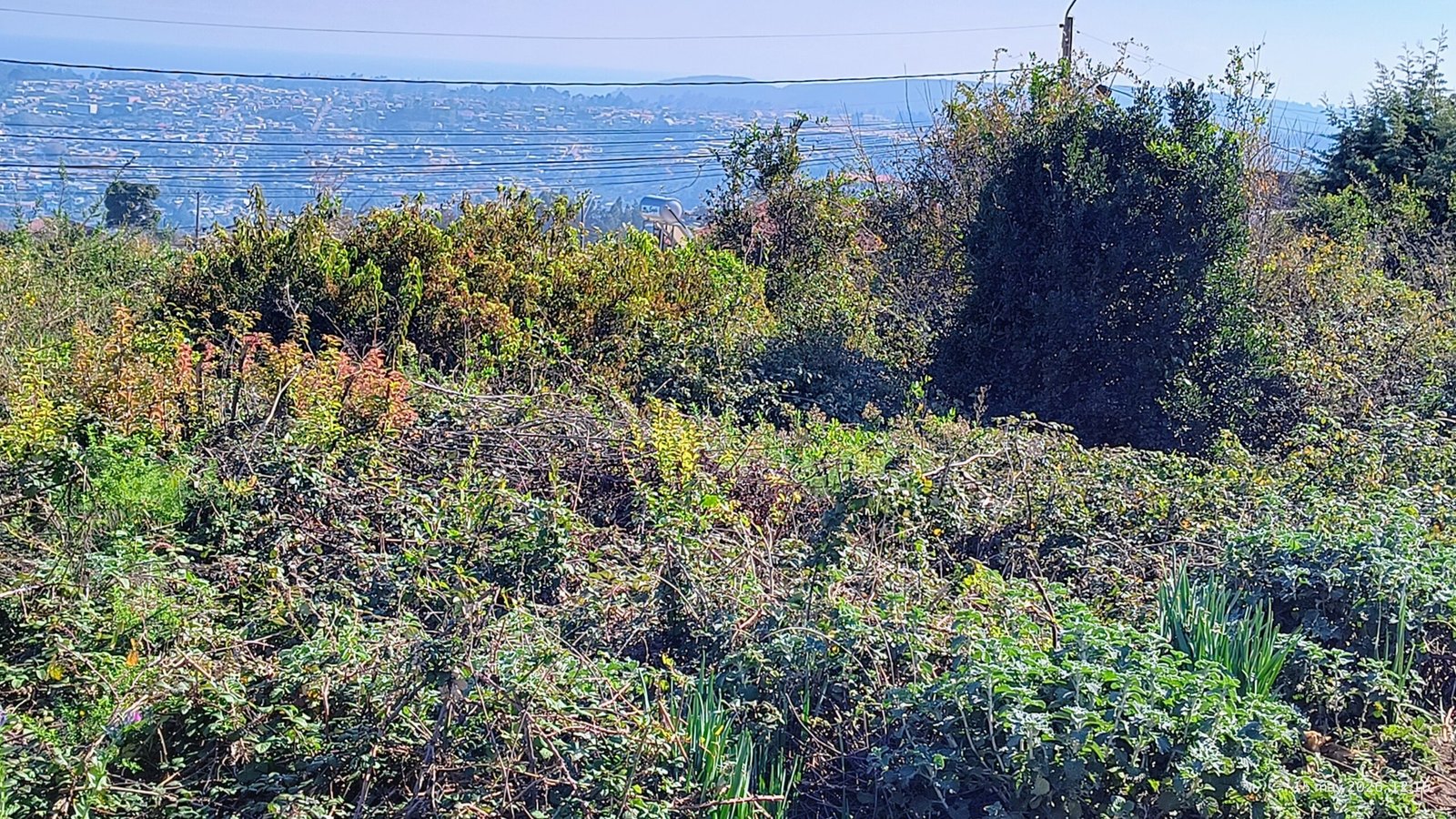 Vista propiedad